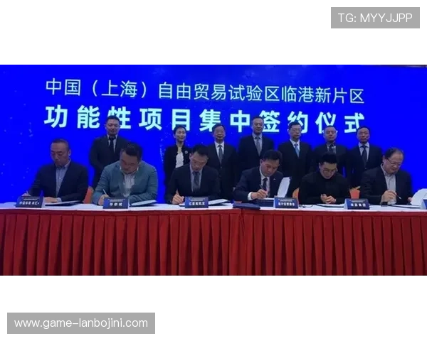 大上海在线娱乐城：如何选择优质的线上娱乐城保障您的资金安全